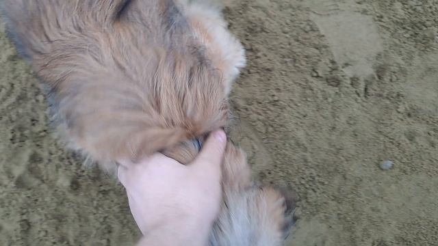 20250330_080338 смотреть онлайн