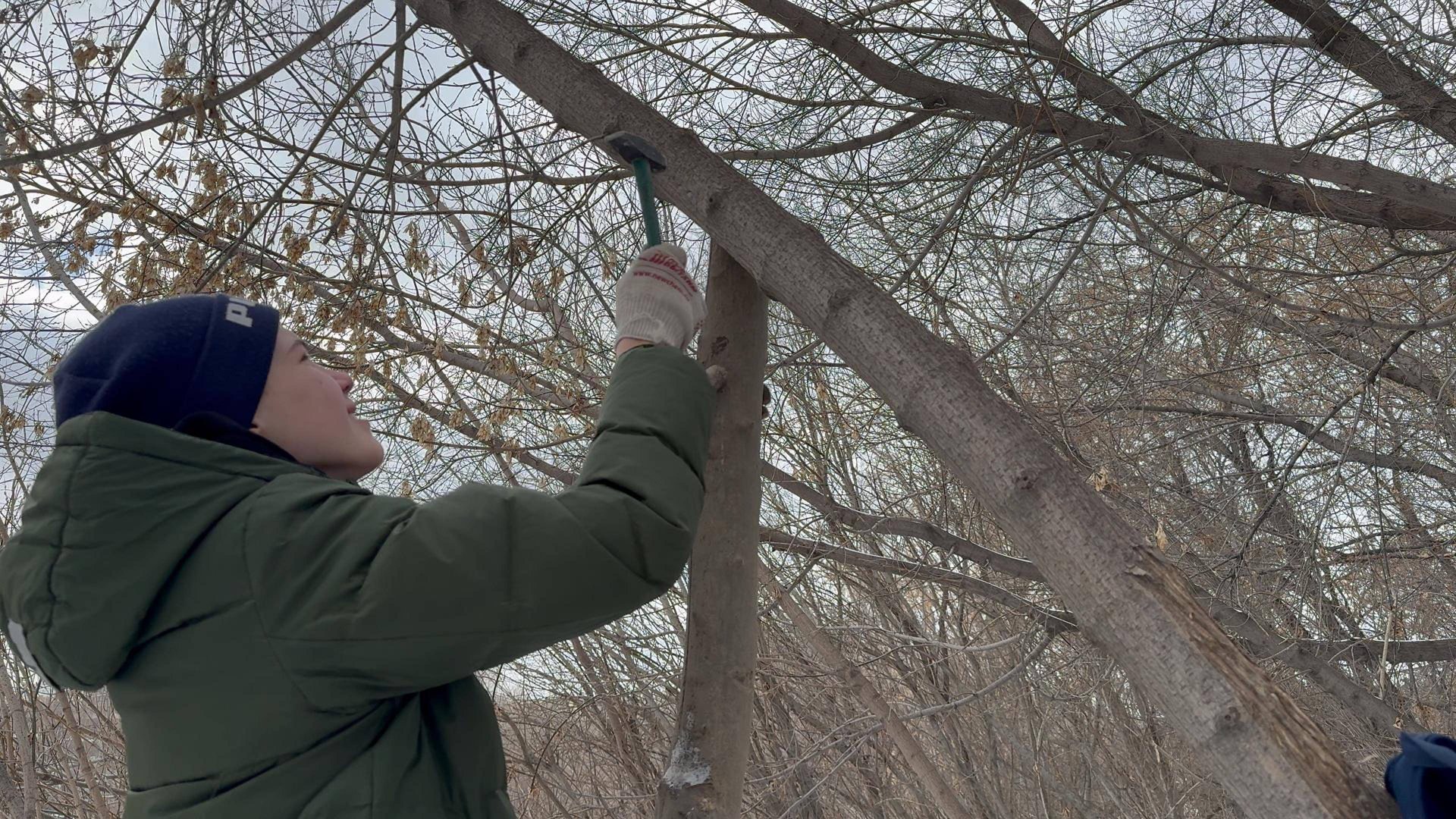 КАК ПОСТРОИТЬ ШАЛАШ В 16 ЛЕТ!? | ВОСТАНОВИЛИ ШАЛАШ | СТРОИМ ШАЛАШ ЗИМОЙ В ЛЕСУ смотреть онлайн