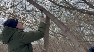 КАК ПОСТРОИТЬ ШАЛАШ В 16 ЛЕТ!? | ВОСТАНОВИЛИ ШАЛАШ | СТРОИМ ШАЛАШ ЗИМОЙ В ЛЕСУ