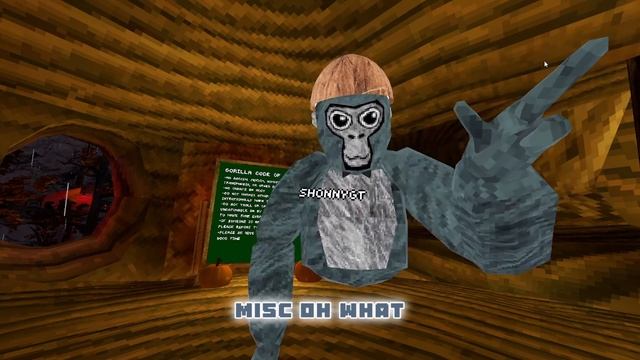 I got the YIZZIS CAM MOD in GORILLA TAG.. смотреть онлайн
