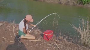 Ловля гигантского черного карпа #fishing