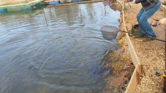 WhatsApp Video 2025-03-30 at 09.50.05 смотреть онлайн