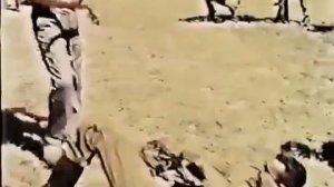 Система боевого выживания Кадочникова. Тренировки с курсантами Ракетки.