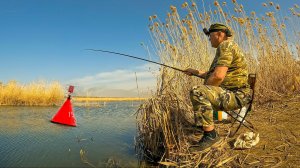 ЗАКИНУЛ СВОЙ БОЛЬШОЙ ПОПЛАВОК, А ТАМ КРУПНАЯ КРАСНОПЁРКА! "БЕШЕНЫЙ КЛЁВ" КРУПНЫМ ПЛАНОМ. Астрахань.