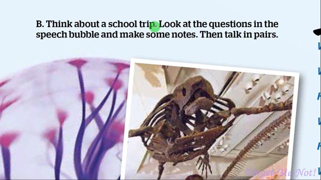 NEW!!! Full Blast! Plus 6 НУШ Module 2 Travelling Lesson 2e pp. 28-29 Student's Book смотреть онлайн