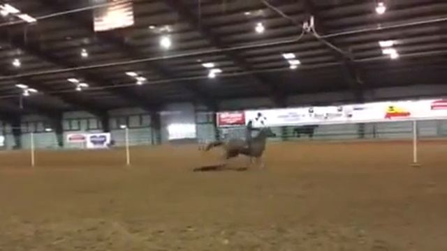 Pole Horse Post Tune Up смотреть онлайн