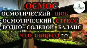 Осмос, осмотический стресс/шок и аквариумистика.