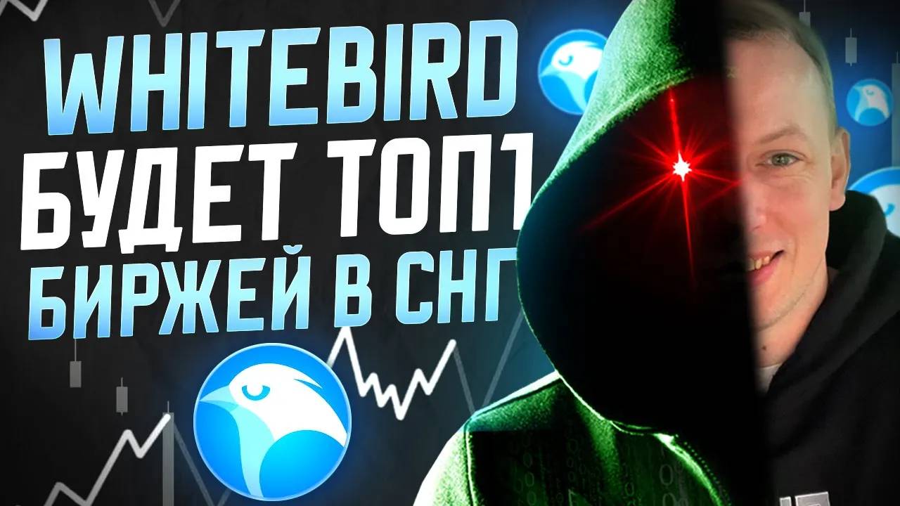 Whitebird как пользоваться обменником_ Сливы интерфейса будущей криптобиржи.