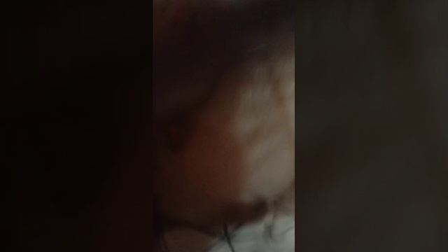 привет смотреть онлайн