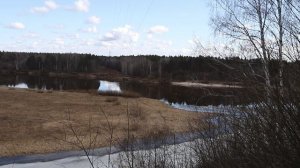 Нижегородская область