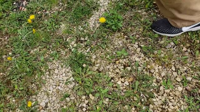 Bolt Crossbow смотреть онлайн