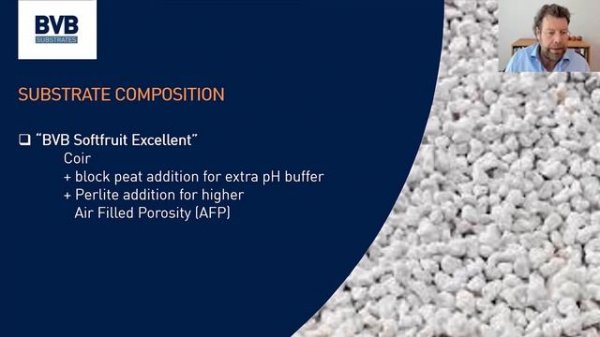 Long Cane Raspberry Production