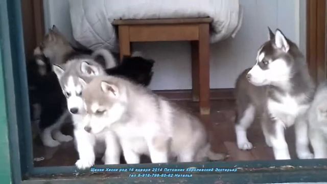 My Video~1 смотреть онлайн