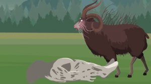 Unnatural Habitat Animals vs Zoonomaly Monster | Monster Animation