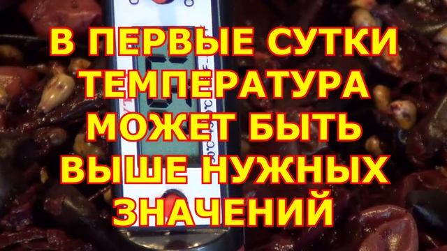 ч 3 Брожение на мезге. Делаем домашнее вкусное вино смотреть онлайн