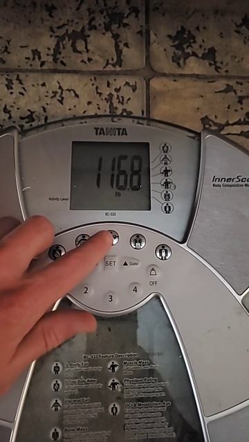I gained a bunch of weight weigh in смотреть онлайн