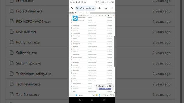 Запускаем вирус Tin.exe