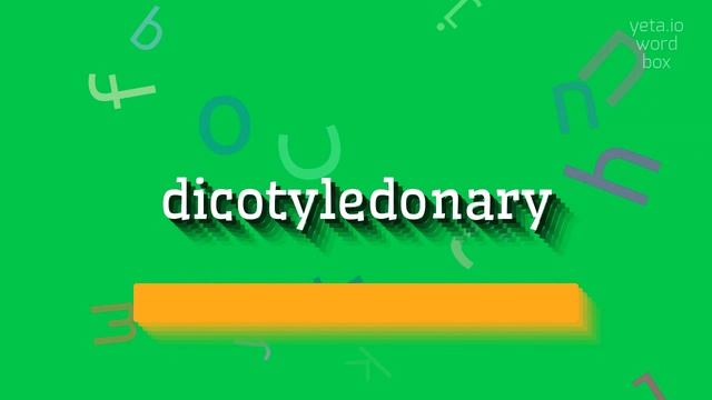 DICOTYLEDONARY - HOW TO SAY DICOTYLEDONARY? #dicotyledonary смотреть онлайн