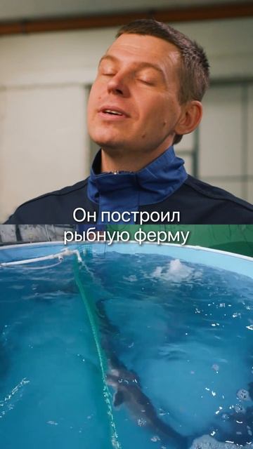 Сколько можно заработать на рыбе в 2025, если вложить 20 млн рублей? #бизнес #заработок #бизне смотреть онлайн