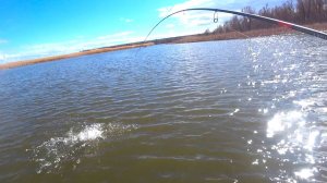 ТАК НЕ БЫВАЕТ!!!! 50 СУДАКОВ САНДАЛЯТ ОДИН ЗА ОДНИМ!! Рыбалка весной на спиннинг джиг