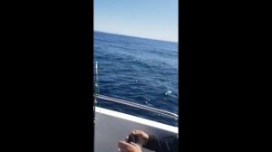 Баренцево море. Ура-Губа,  поездка за треской.