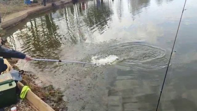 WhatsApp Video 2025-03-30 at 09.51.04 смотреть онлайн