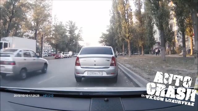 Голубь с яйцами. смотреть онлайн