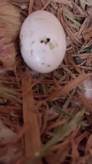 18 April 2023 смотреть онлайн