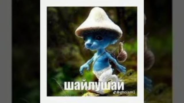что такое шайлушай? смотреть онлайн