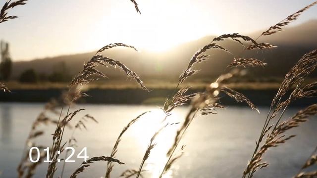 Relaxing Music Sleep 3 Minutes Water | Water Sounds For Sleeping 3 Minutes: 3 Minute Timer | 4K
