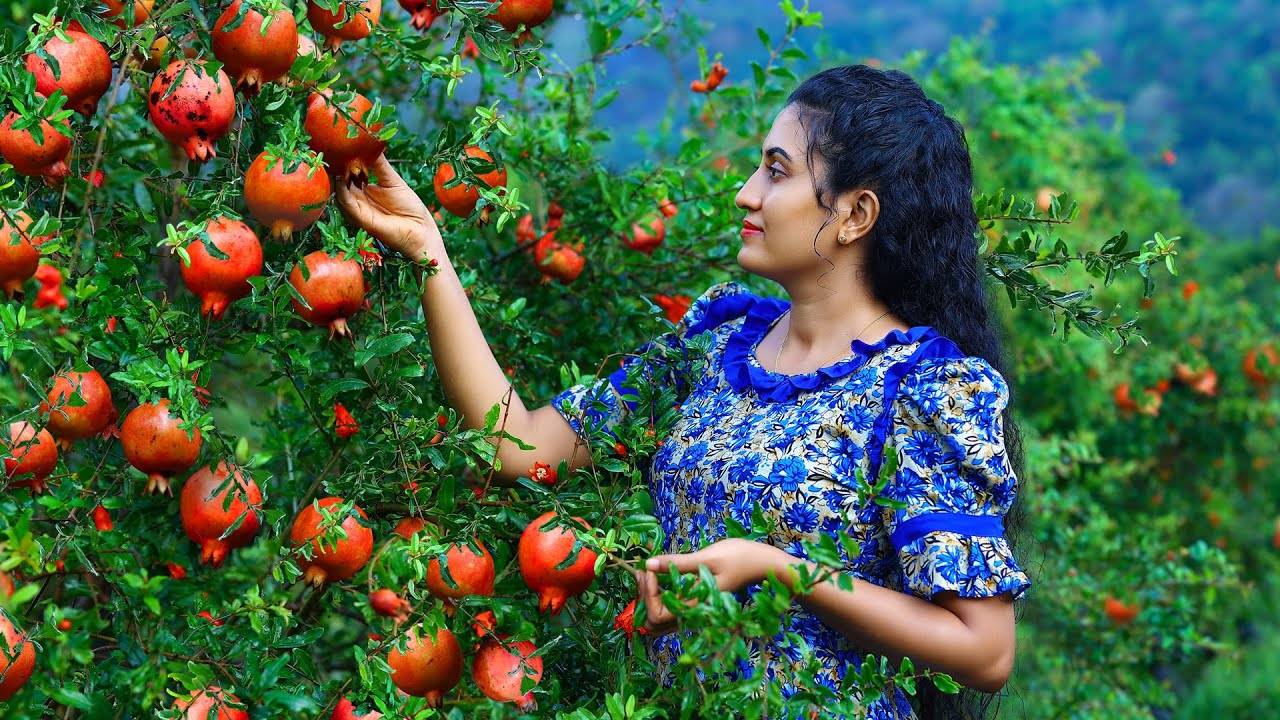 Гранатовые изыски Сок алоэ вера, жареные куриные ножки и десерт «Ледник» со смешанными фруктами.