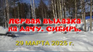 ПЕРВАЯ ВЫЛАЗКА НА ДАЧУ 2025. СИБИРЬ.