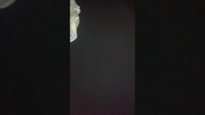 Убойные каникулы 2015