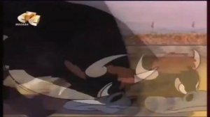 Мультик Дятел Вуди Вудпекер - Все серии подряд - Сборник 10 серий. Дисней. Woody Woodpecker. Disney