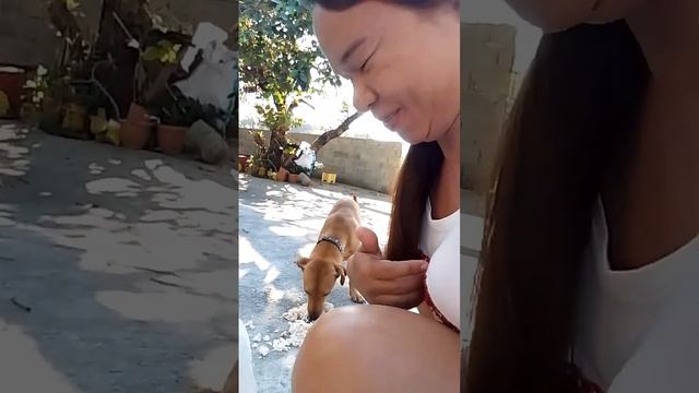 NU MAMINSAN MET AH KET,KELANGAN TAYO MET TUMULONG TI MARIGRIGAT💖😁😁💖 смотреть онлайн
