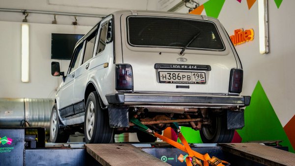 ВЫЖИМАЕМ ИЗ НИВЫ 100 ЛОШАДЕЙ И ПРОИГРЫВАЕМ