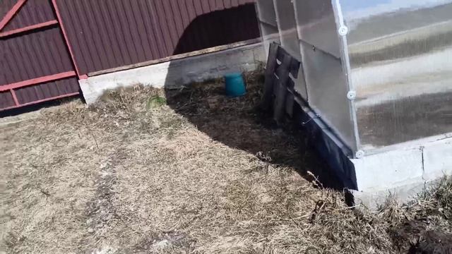 Переделала 💯 дел! Невозможно вкусный печеночный торт)) смотреть онлайн