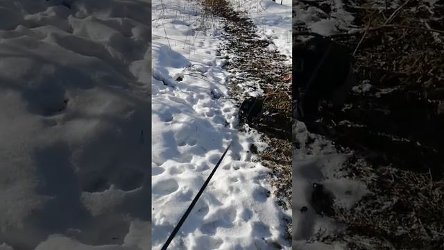 Весна пришла 2023 март! смотреть онлайн