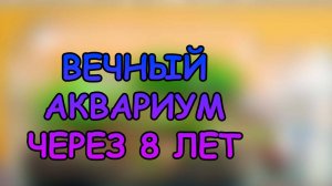 Вечный аквариум и вечный террариум через 8 лет
