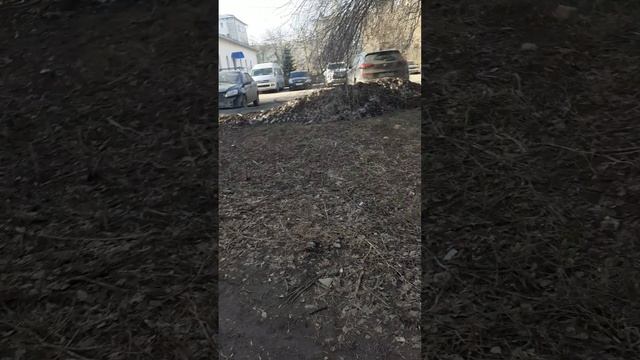 20250327_164722 смотреть онлайн