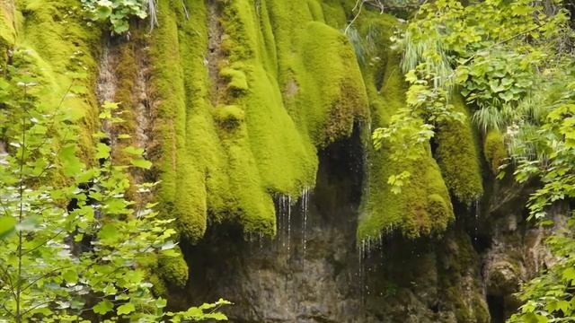 Быстрое Глубокое Расслабление Под звуки Падающей Воды. Deep Relaxation to the Sound of Falling Wate смотреть онлайн