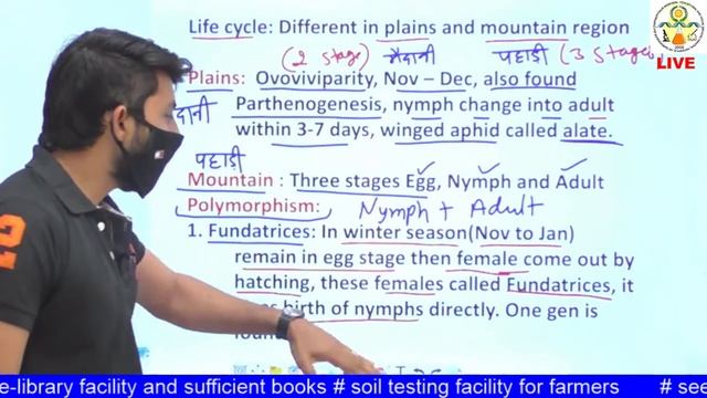 ENTO -311 : Lecture 21 Mustard Aphid смотреть онлайн