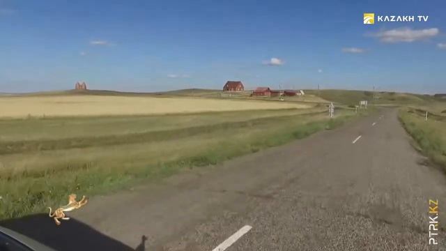 Д ф «Северный Казахстан»