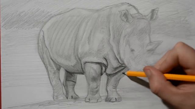 How to Draw a Rhinoceros - Realistic Pencil Drawing смотреть онлайн