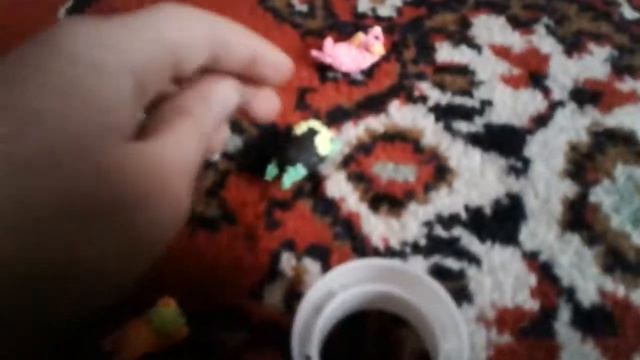 Морские свинята катаются смотреть онлайн