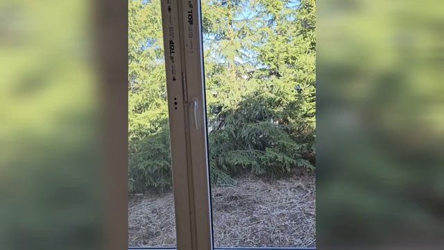 Дом Подмосковье.mp4 смотреть онлайн