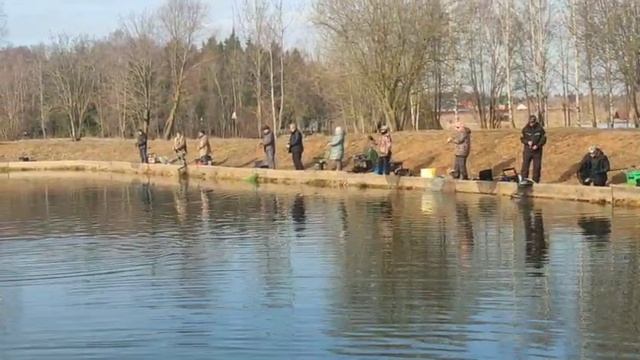 WhatsApp Video 2025-03-30 at 09.46.09 смотреть онлайн