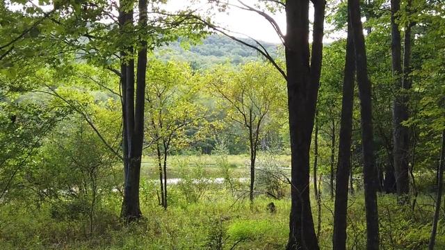 1глав Измена Жены Светланы 5ч. Случайная измена. Рассказ для взрослых. Роман. Рассказ для взрослых.