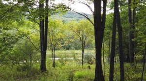 1глав Измена Жены Светланы 5ч. Случайная измена. Рассказ для взрослых. Роман. Рассказ для взрослых.