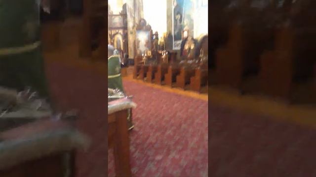 Palm Sunday 4/12/2020 Divine Liturgy Service (Part 1) смотреть онлайн